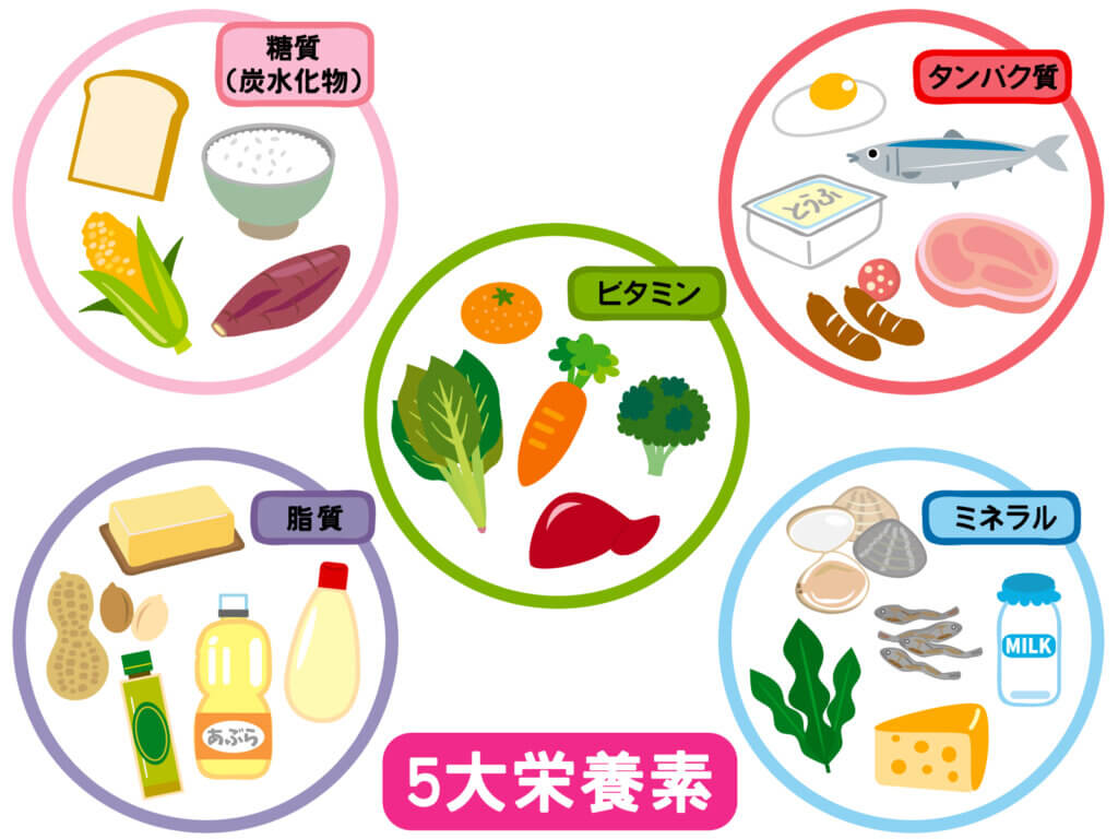 5大栄養素の画像